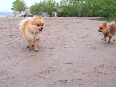 June7_04_030.JPG