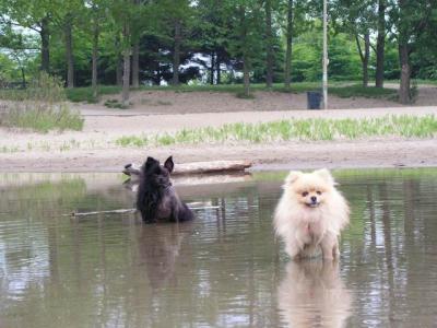 June7_04_031.JPG