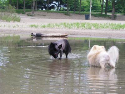 June7_04_032.JPG