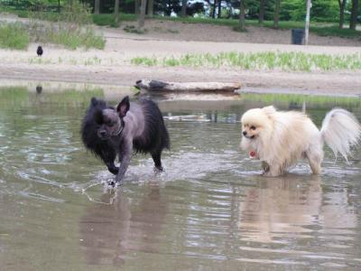 June7_04_033.JPG