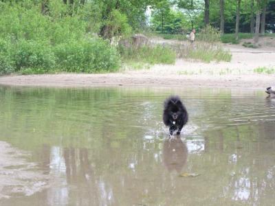 June7_04_034.JPG