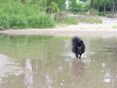 June7_04_035.JPG