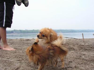 June7_04_058.JPG