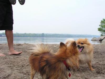 June7_04_059.JPG