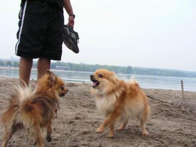 June7_04_061.JPG