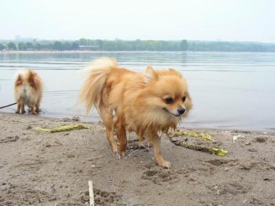 June7_04_064.JPG