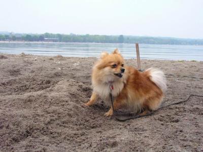 June7_04_070.JPG