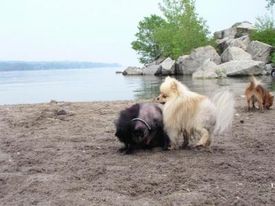 June7_04_071.JPG
