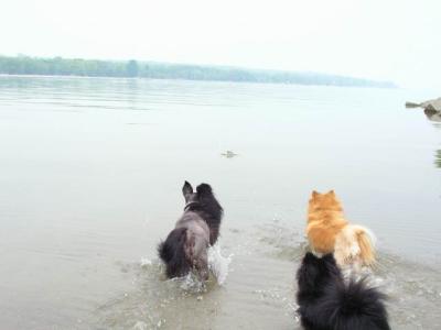 June7_04_075.JPG