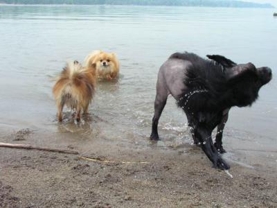 June7_04_076.JPG