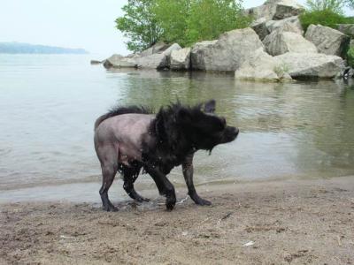 June7_04_077.JPG
