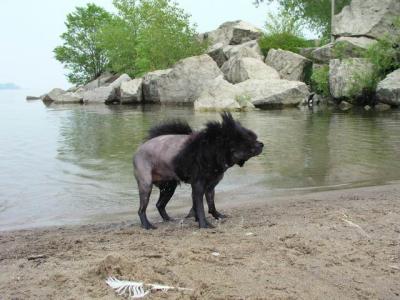 June7_04_078.JPG