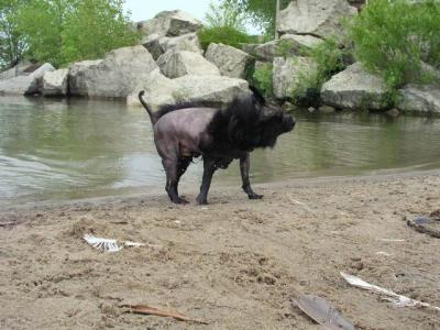 June7_04_079.JPG