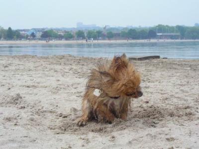 June7_04_089.JPG