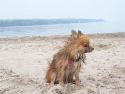 June7_04_091.JPG