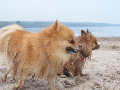 June7_04_092.JPG