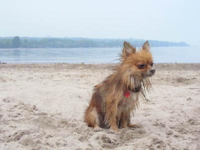 June7_04_093.JPG