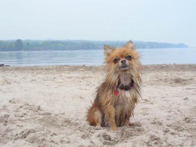 June7_04_097.JPG