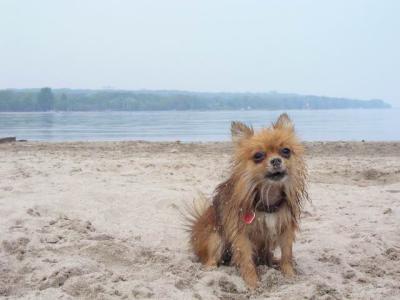 June7_04_098.JPG