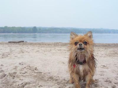 June7_04_101.JPG