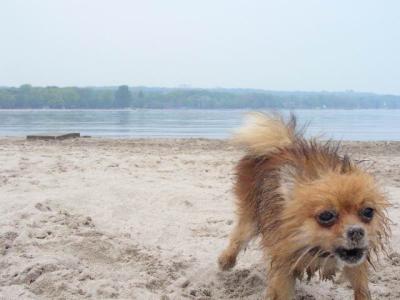 June7_04_102.JPG