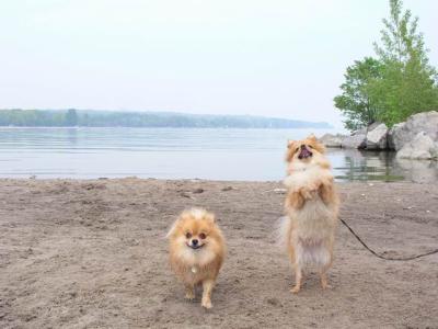 June7_04_128.JPG