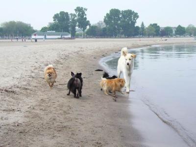 June7_04_143.JPG