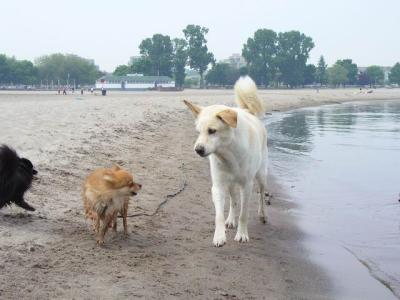 June7_04_146.JPG