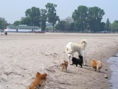 June7_04_164.JPG