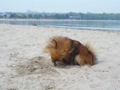 June7_04_176.JPG