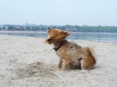 June7_04_178.JPG