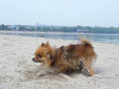 June7_04_179.JPG