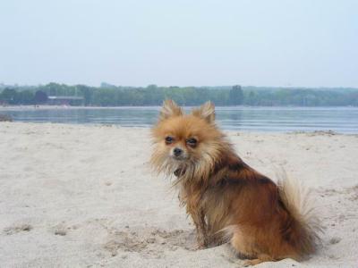 June7_04_182.JPG