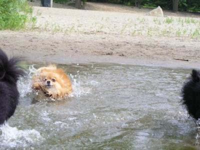 June7_04_190.JPG