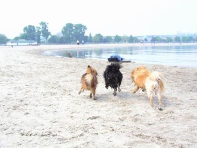 June7_04_195.JPG