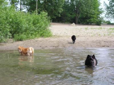 June7_04_196.JPG