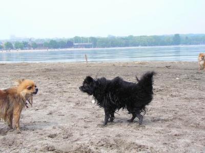 June7_04_206.JPG