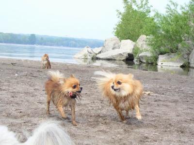 June7_04_207.JPG