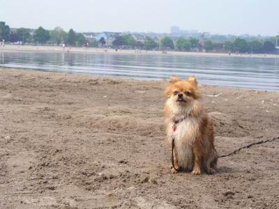 June7_04_211.JPG