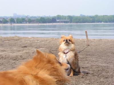 June7_04_215.JPG