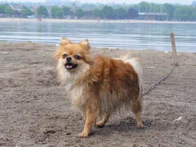 June7_04_224.JPG