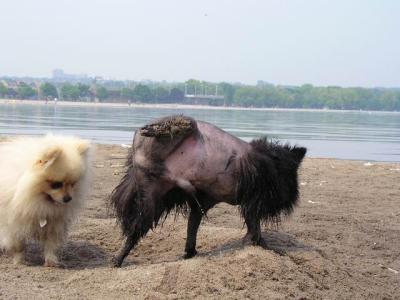 June7_04_232.JPG