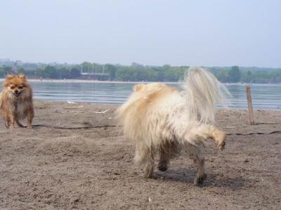 June7_04_237.JPG
