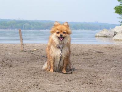 June7_04_240.JPG