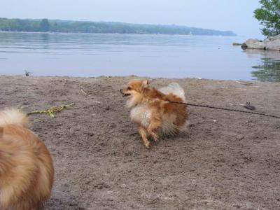 June7_04_330.JPG