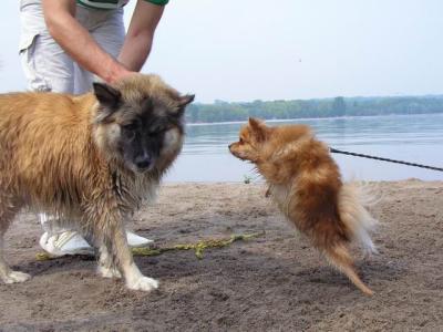 June7_04_334.JPG
