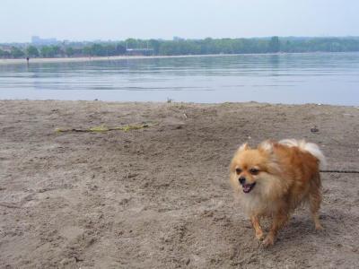 June7_04_337.JPG
