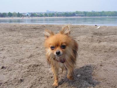 June7_04_364.JPG