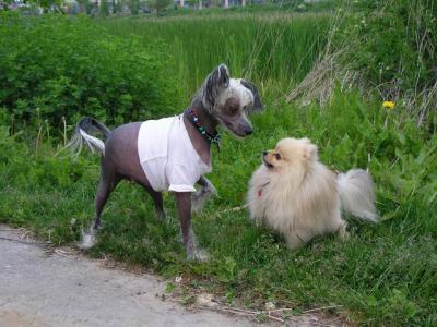 June7_04_366.JPG