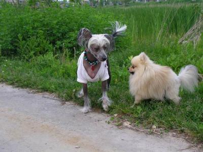 June7_04_368.JPG